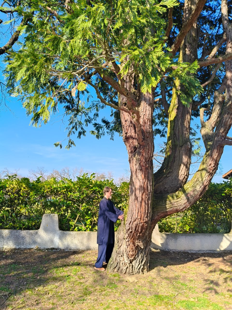 Contact avec l'arbre